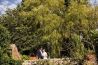 020-creative-wedding-photographers-shrewsbury