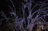 045-creative-winter-wedding-photographs